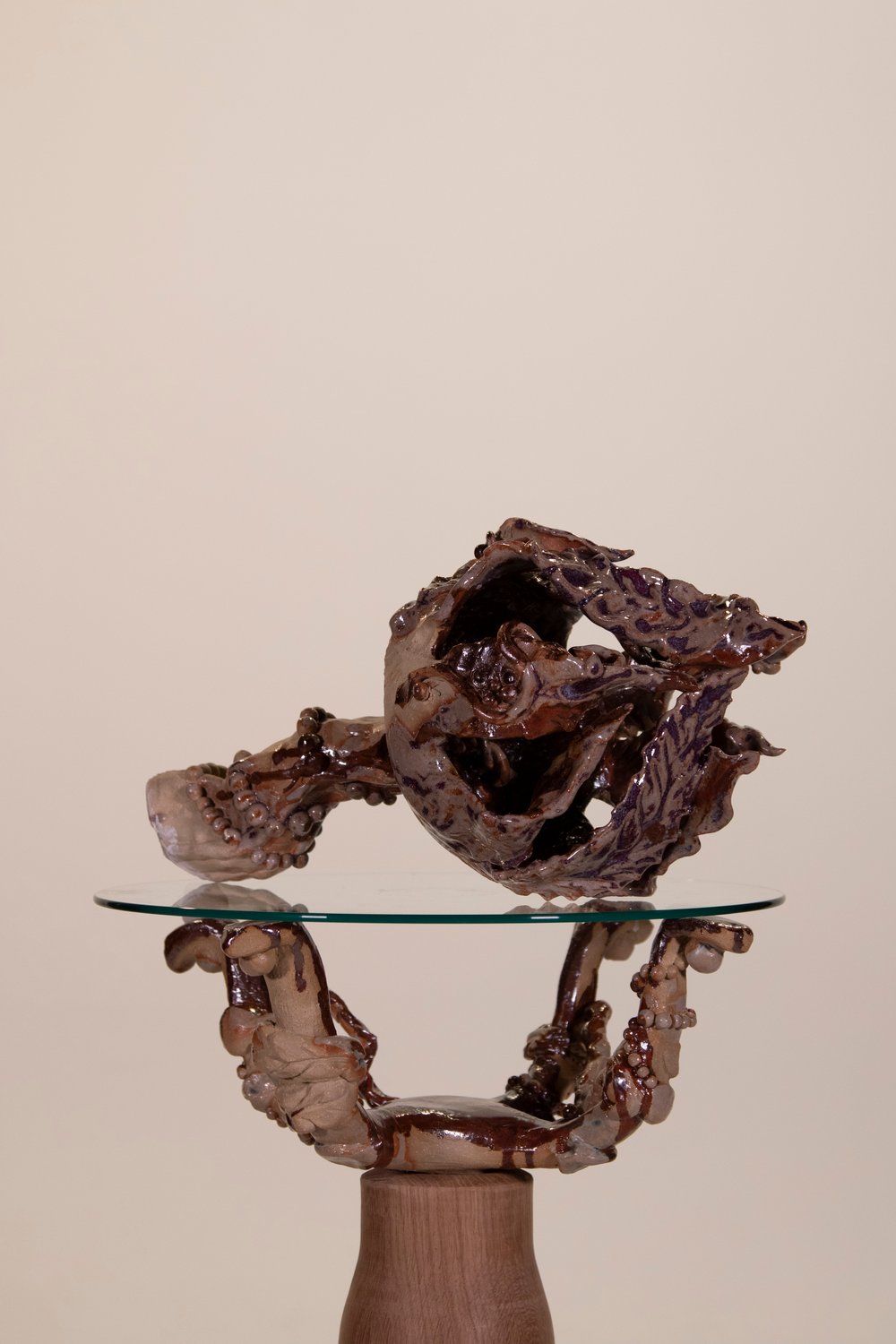 Les Artichauts — image 7