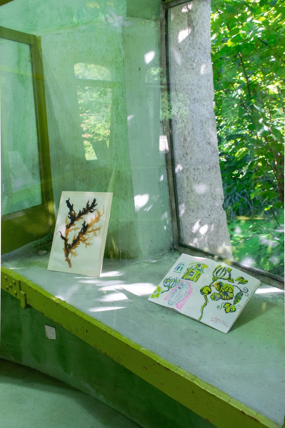 La Nature dénaturée — image 2
